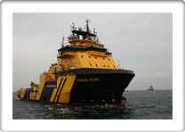 Magne Viking 